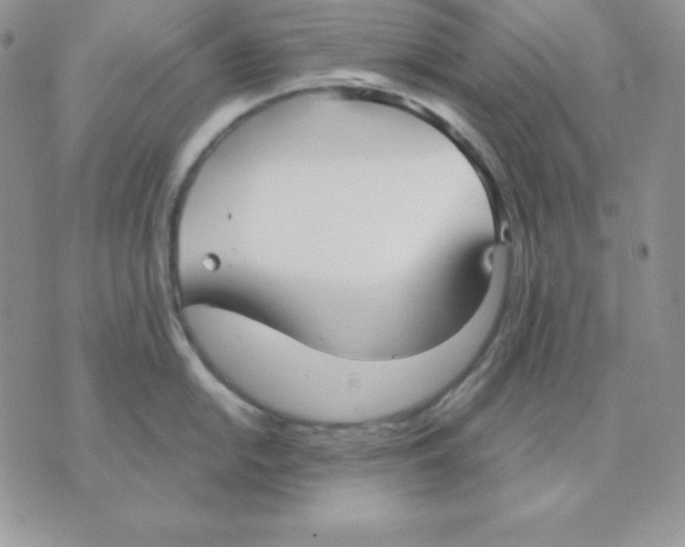 X0000070361054200607072058