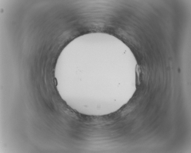 X0000070361057200607072057