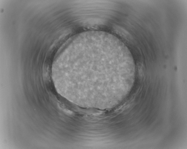 X0000070361060200607072057