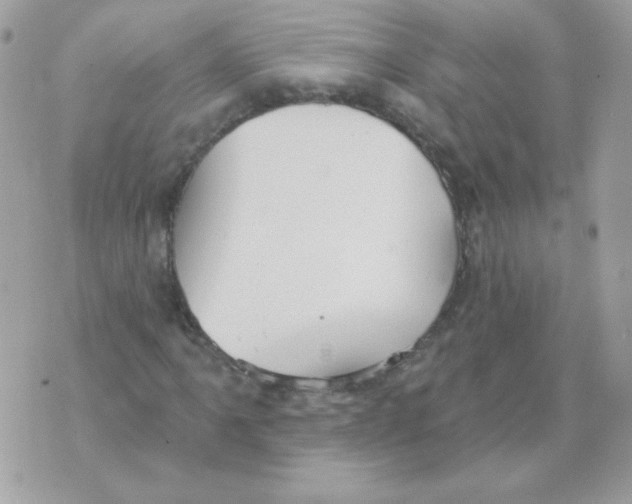 X0000070361061200607072057