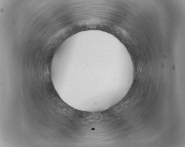 X0000070361062200607072057