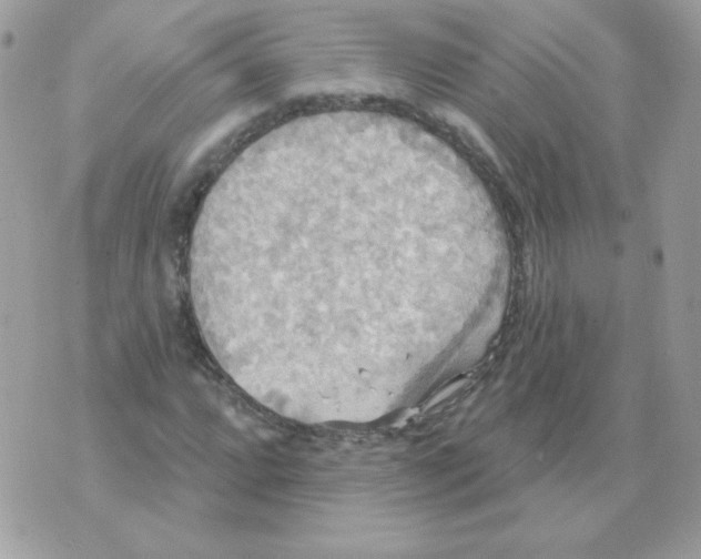 X0000070361064200607072057