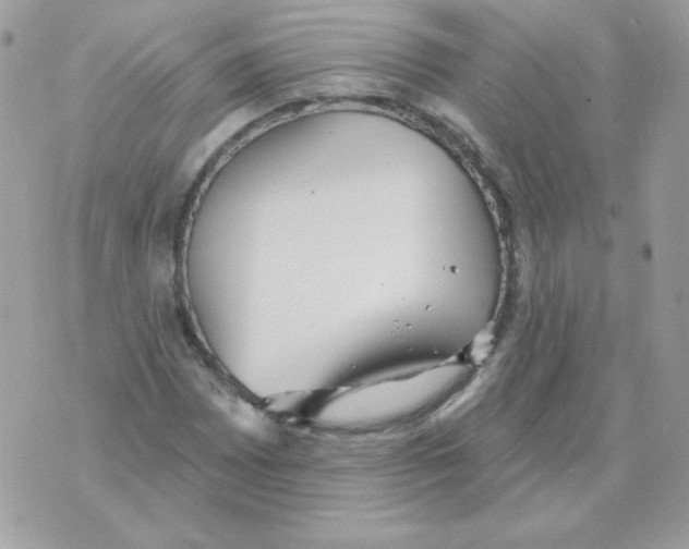 X0000070361065200607072057