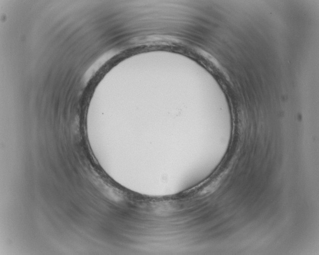 X0000070361066200607072057