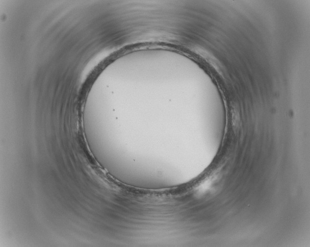 X0000070361069200607072057