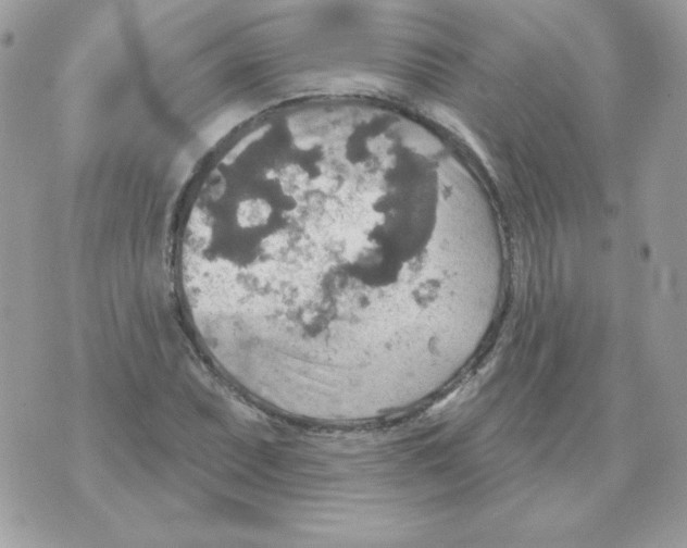 X0000070361071200607072057