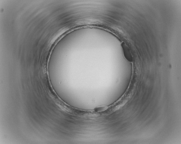 X0000070361073200607072057