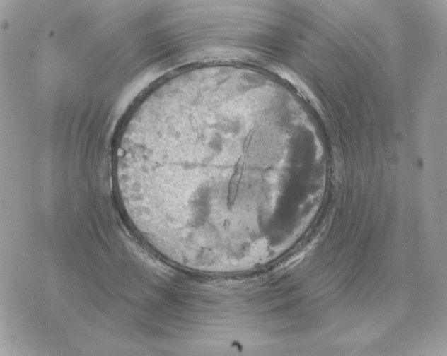 X0000070361075200607072057