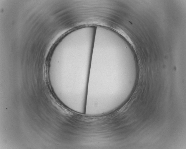 X0000070361076200607072057