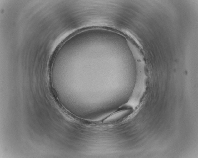 X0000070361077200607072057