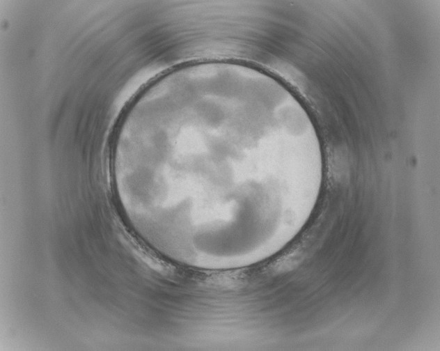 X0000070361078200607072057