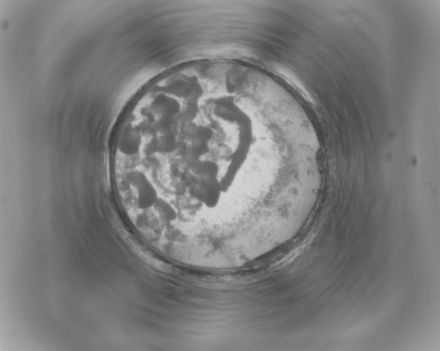 X0000070361079200607072057