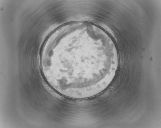 X0000070361080200607072057