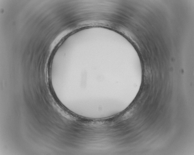 X0000070361082200607072057