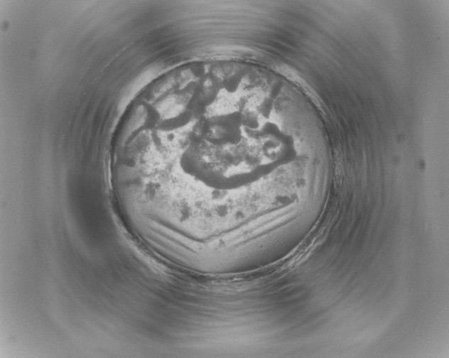 X0000070361083200607072057