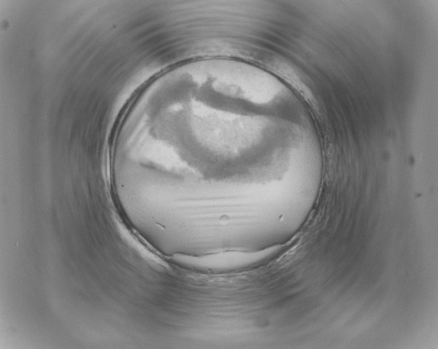 X0000070361084200607072057