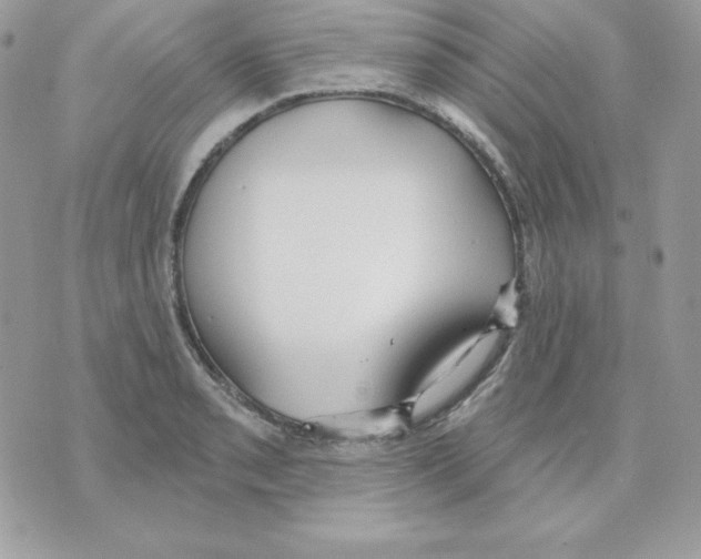 X0000070361085200607072057