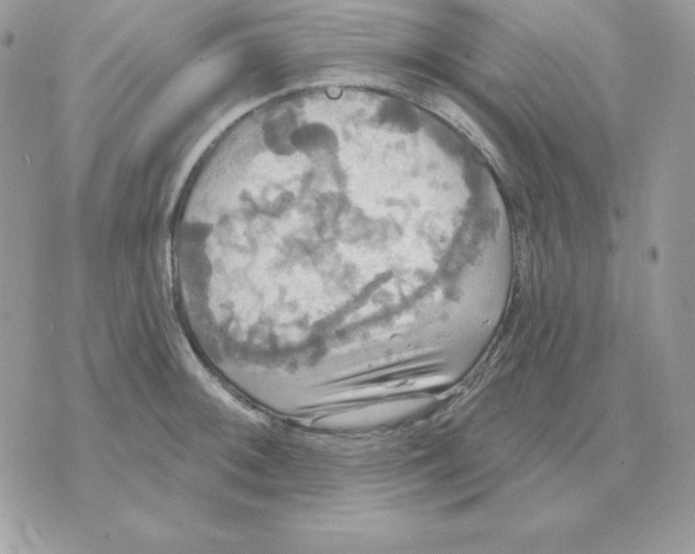 X0000070361092200607072057