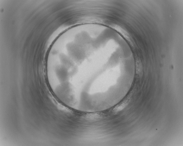 X0000070361094200607072057