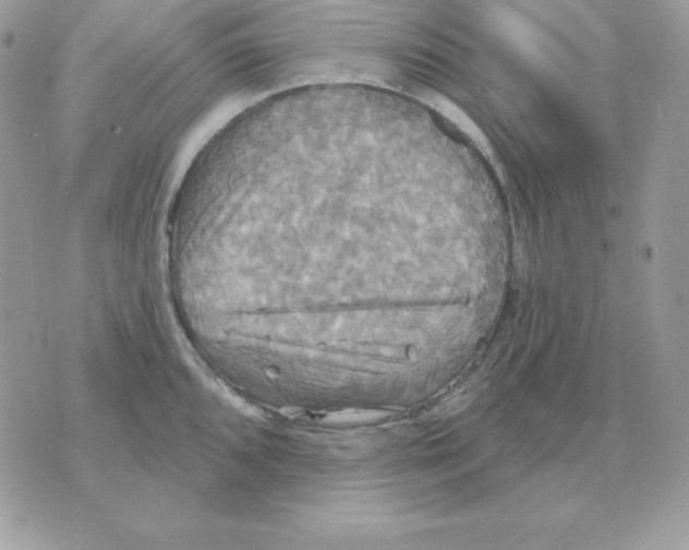 X0000070361096200607072057