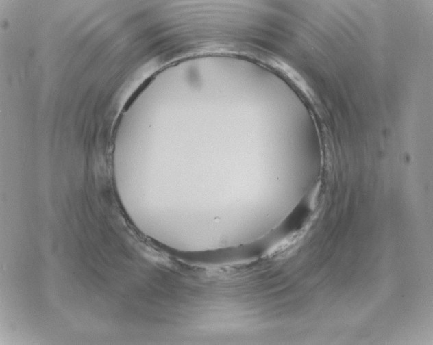 X0000070361097200607072057