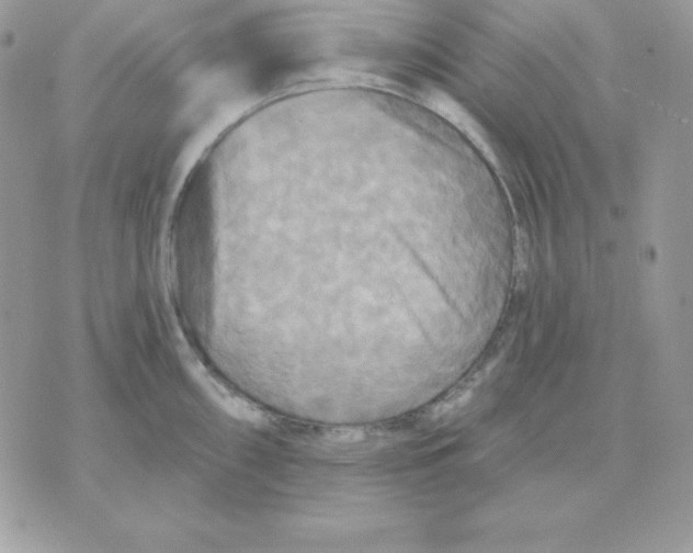 X0000070361098200607072057