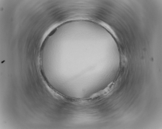 X0000070361101200607072057