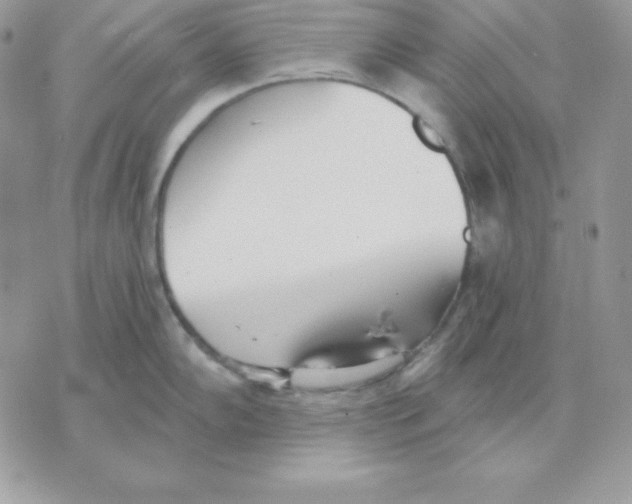 X0000070361102200607072057