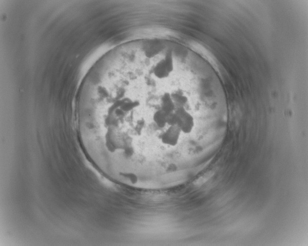 X0000070361103200607072057