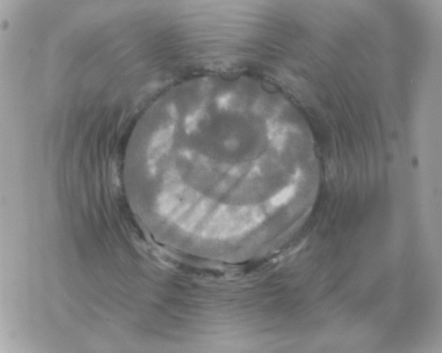 X0000070361106200607072056