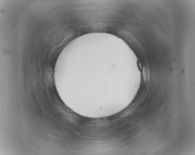 X0000070361107200607072056