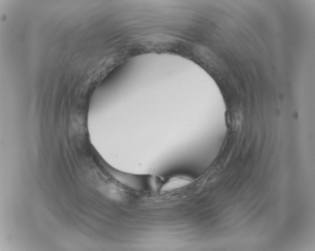 X0000070361108200607072056