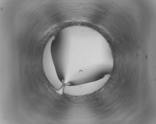 X0000070361110200607072056