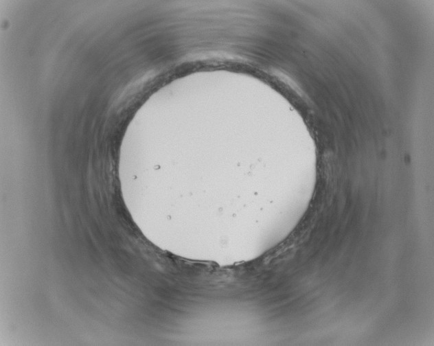 X0000070361111200607072056