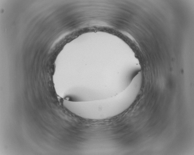 X0000070361112200607072056