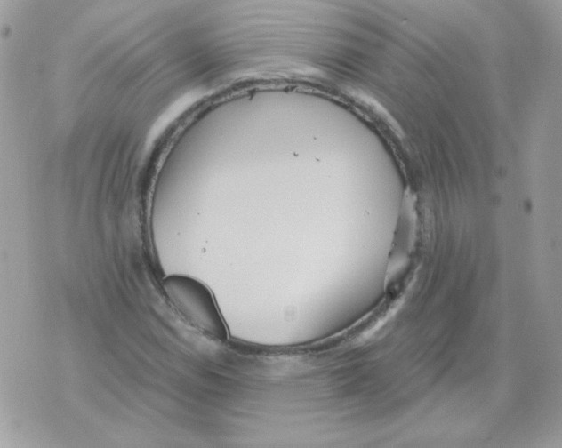 X0000070361114200607072056