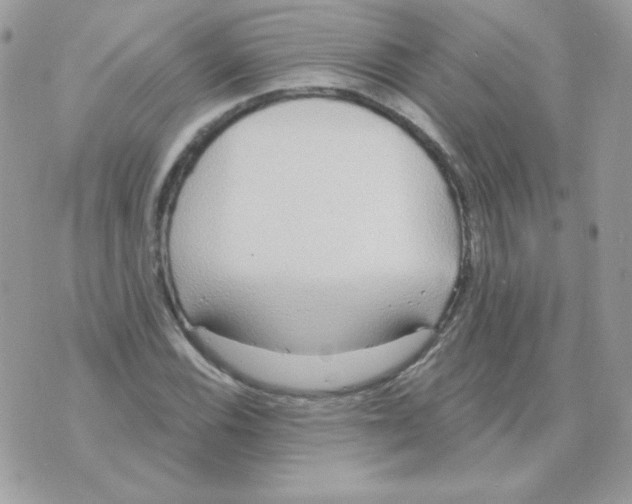 X0000070361116200607072056