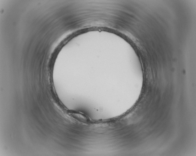 X0000070361118200607072056