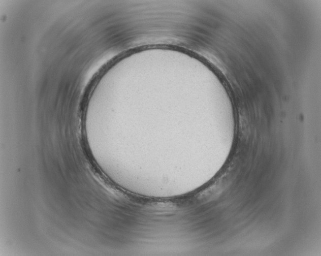 X0000070361119200607072056