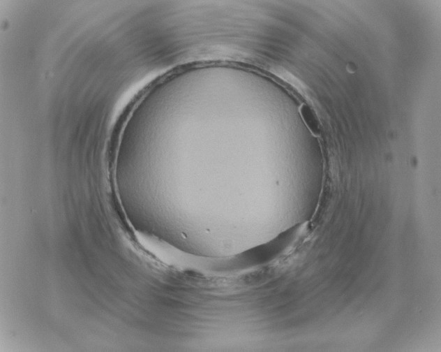 X0000070361120200607072056