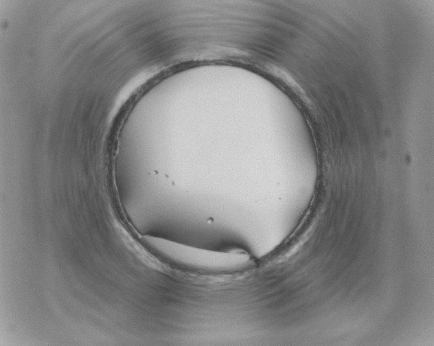 X0000070361122200607072056