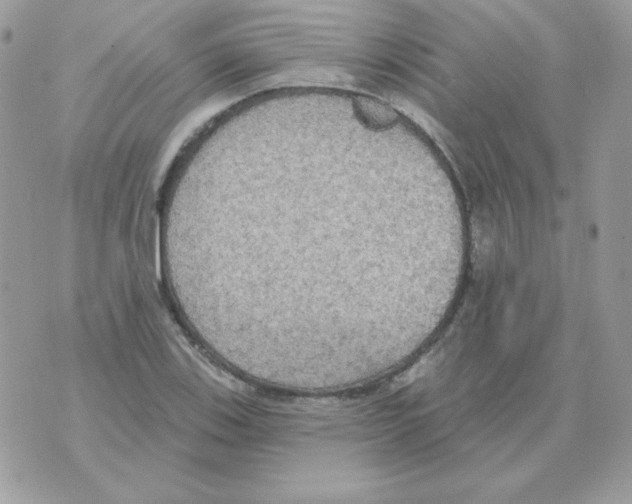 X0000070361123200607072056