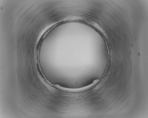 X0000070361124200607072056