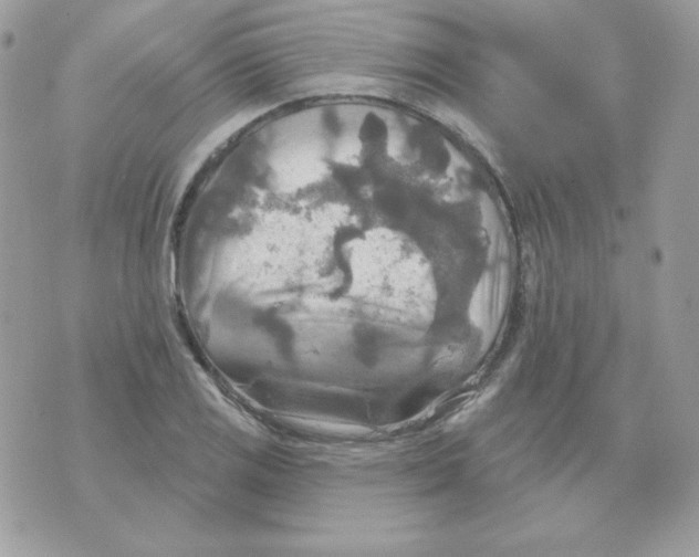 X0000070361125200607072056