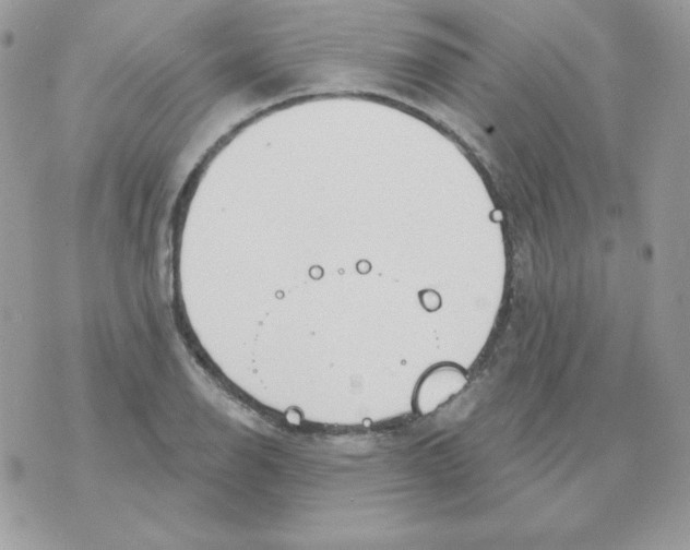 X0000070361126200607072056