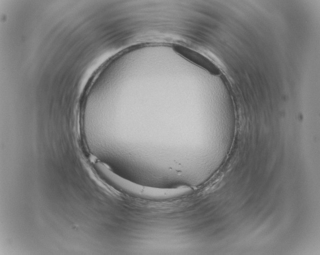 X0000070361128200607072056