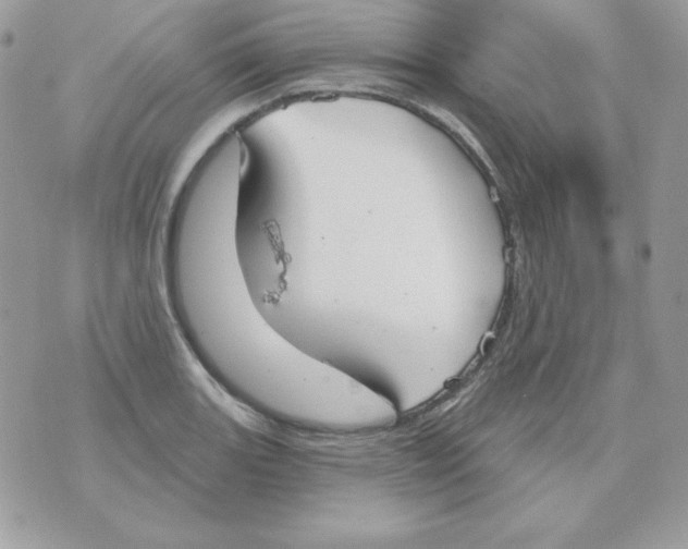 X0000070361131200607072056