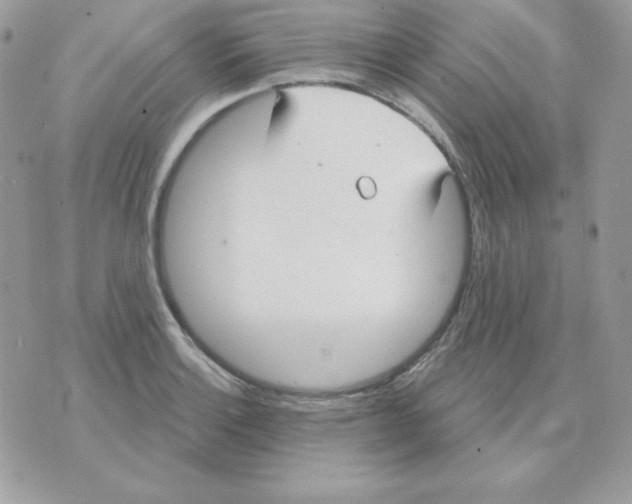 X0000070361132200607072056