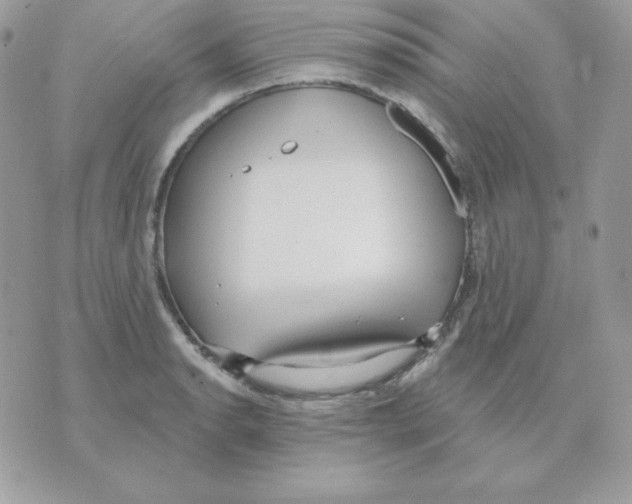 X0000070361134200607072056