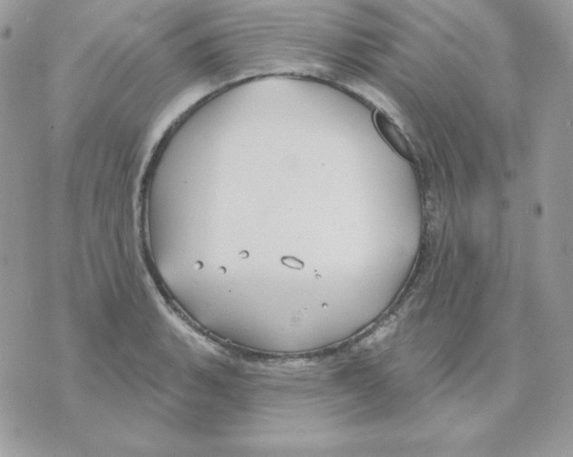 X0000070361135200607072056